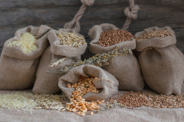 Grains of peas, rice, wheat, oats, buckwheat in bags.