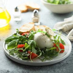 Homemade burrata cheese salad with tomatoes