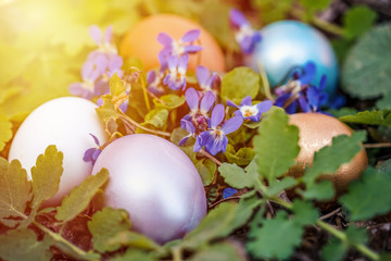 colorful Easter eggs hidden in the grass with flowers