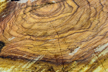 Naklejka premium texture
