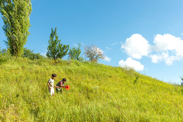 The three young boy walks on the mountain on clear spring or a summer day. They catch butterflies or insects with a butterfly net.