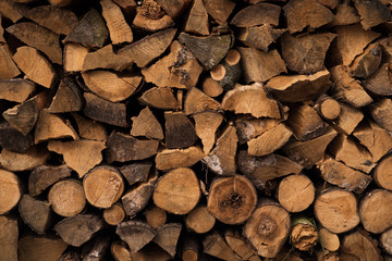 Pile of firewood on a heap. Diversity coniferous and deciduous stacks of firewood.
