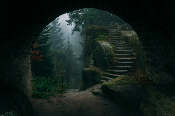 End of a tunnel leading to a Dark Mystical stairs in mysterious forest covered in fog or mist with...
