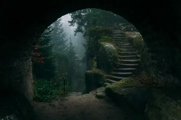 Fotobehang Betoverde Bos End of a tunnel leading to a Dark Mystical stairs in mysterious forest covered in fog or mist with magic horror atmoshpere  © Atmosphere