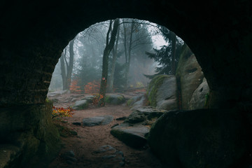 End of a tunnel leading to a Dark Mystical pathway in mysterious forest covered in fog or mist with magic horror atmoshpere and orange leaves