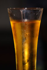 misted full glass with cold beer