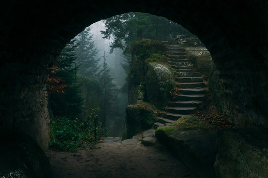 End of a tunnel leading to a Dark Mystical stairs in mysterious forest covered in fog or mist with magic horror atmoshpere