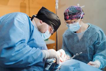 Doctor with surgical tools in hands making surgery in operation room. The student observes an experienced surgeon during surgery.