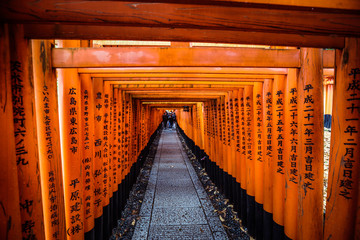Great Torii of Fushimi Inari Shrine, Kyoto, Japan