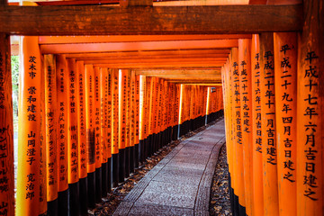 Great Torii of Fushimi Inari Shrine, Kyoto, Japan