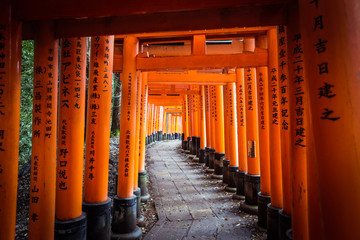 Great  Red Torii of Fushimi Inari Shrine, Kyoto, Japan