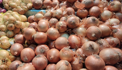 Onion tubers (Allium cepa) on display in supermarket gondola
