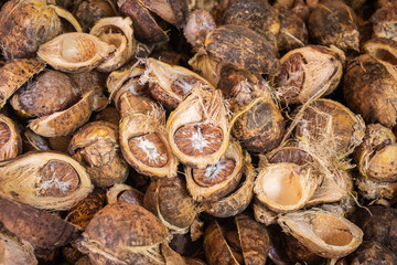 Dry raw areca nut or betel nut