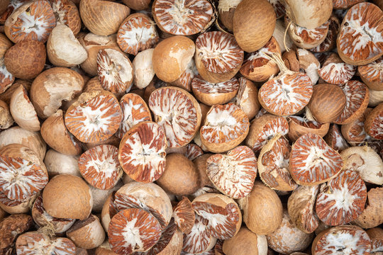 Dry raw areca nut or betel nut