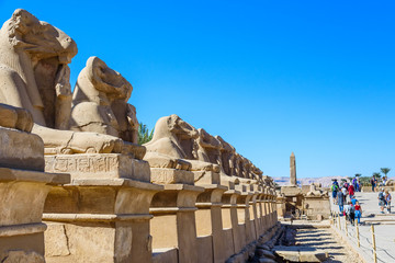 Avenue of the ram-headed Sphinxes in a Karnak Temple. Luxor, Egypt