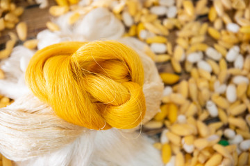 Silk threads and cocoons are raw materials for weaving silk.
