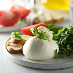 Fresh Burrata cheese with bread, arugula and tomatoes