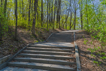 Obraz premium Staircase on a footpath in a park on a sunny day.
