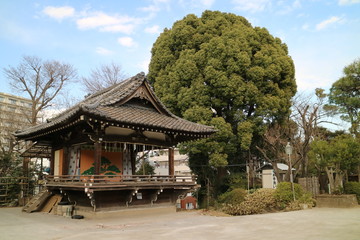 Fototapeta na wymiar 品川神社の境内