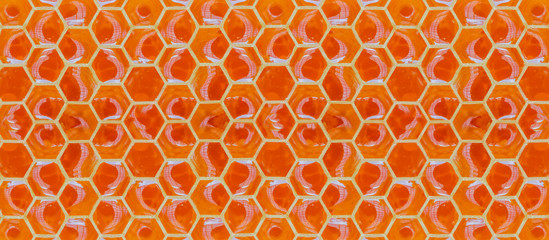 Honey, honeycomb 