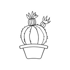 The picture of the cactus. Circuit. Round cactus in a pot. Vector illustration.