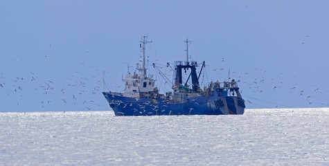Fisherman's boat surrounded by seagulls
