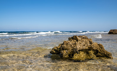 Scenic view of dead coral in water on shore of red sea 