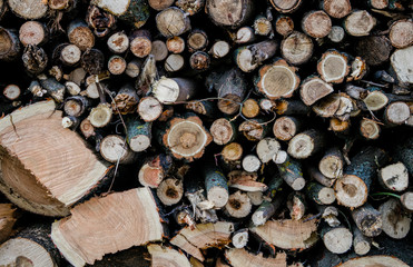 Pile of sawn firewood. Natural fuel for heating a rural cottage