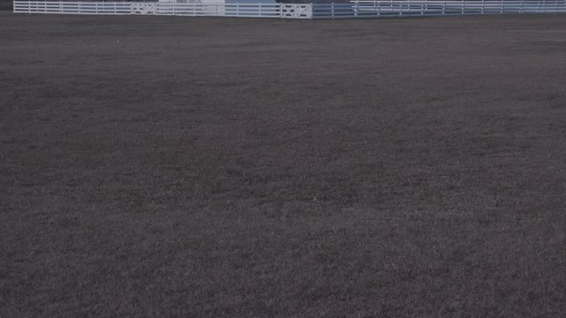 Historic Bodie Island Lighthouse in the Cape Hatteras National Seashore just after sunrise, Outer Banks, North Carolina, USA
