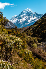 Mount Cook