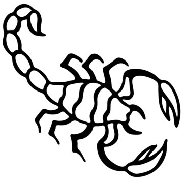 element in black, pattern for tattoo, drawing decorative scorpion, isolate on a white background