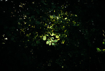 abstract background