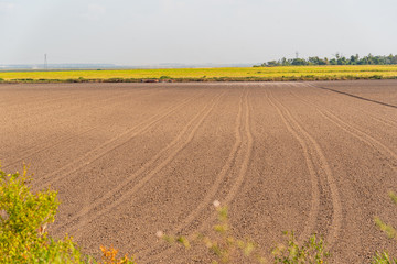 Soil prepared for planting and in the background a dryland rice plantation