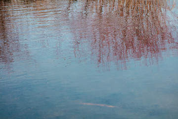 Background close-up, ice and stones