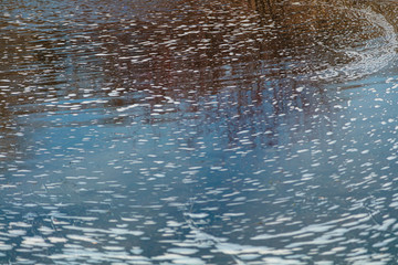Background close-up, ice and stones