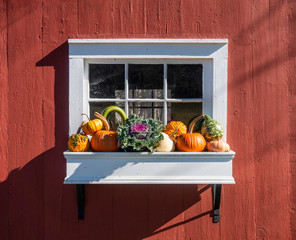 White Planter Box with Autumn Vegetables - 332150748