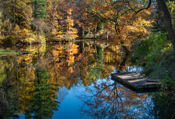 Still Autumn Pond with Reflections of Colorful Trees - 332150753