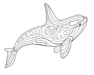 Killer whale - antistress coloring book - vector linear picture on the marine theme. Picture for coloring book - orca - ocean mammal. Outline. Hand drawing © Hanna
