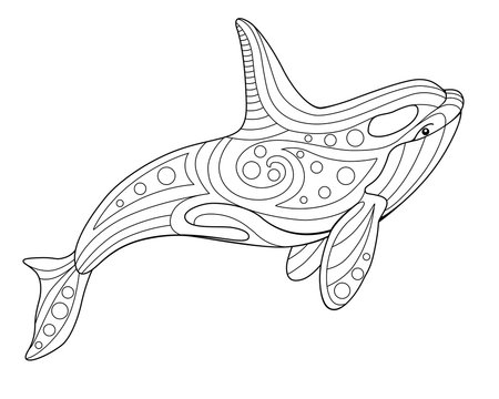 Killer whale - antistress coloring book - vector linear picture on the marine theme. Picture for coloring book - orca - ocean mammal. Outline. Hand drawing