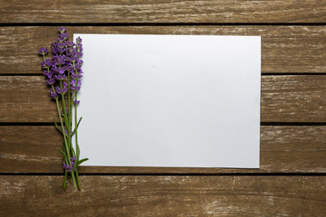 Weißes Papier für Notiz auf Holztisch mit Deko