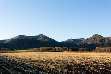 Fototapeta premium 日本・北海道東部の国立公園、秋の弟子屈町