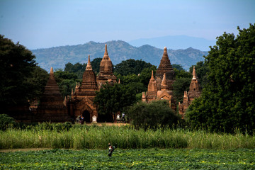 Temples & agriculture