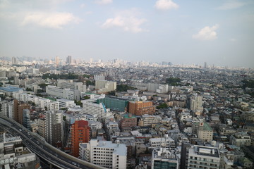 Fototapeta na wymiar 高層ビル（キャロットタワー）からの東京を眺める