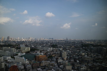 Obraz premium 高層ビル（キャロットタワー）からの東京を眺める
