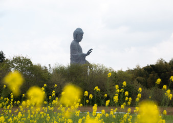 buddha statue in a field
