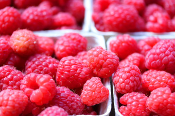 Fresh raspberries fruit background , macro close up raspberry
