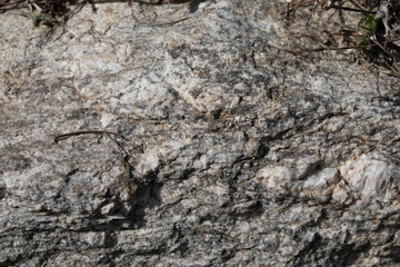 Pierre, texture