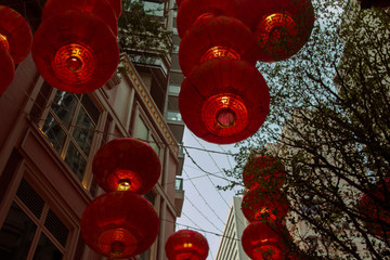 chinese lantern close up