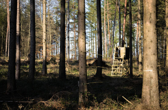 Hochsitz im Wald