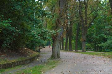 park area in autumn time